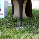 GoGoHeel STOPPERS Heel Protectors Transparent